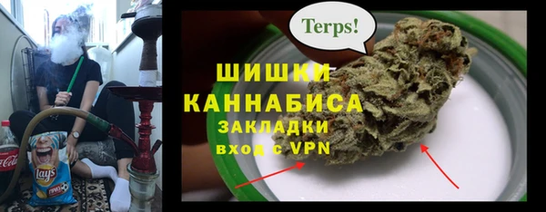гидра Новокубанск