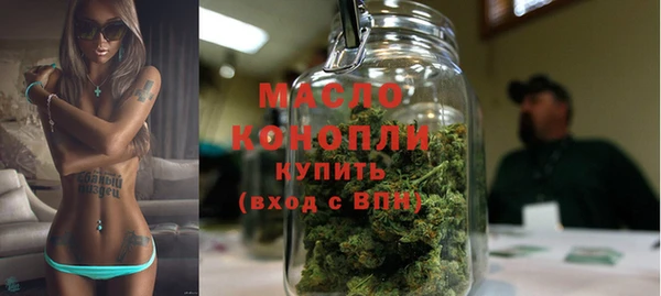 молекула духа Новодвинск