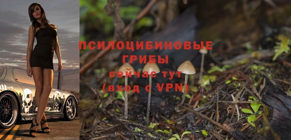 молекула духа Новодвинск